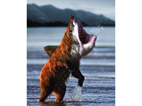 # 19 computer generated Hybrid Animals  