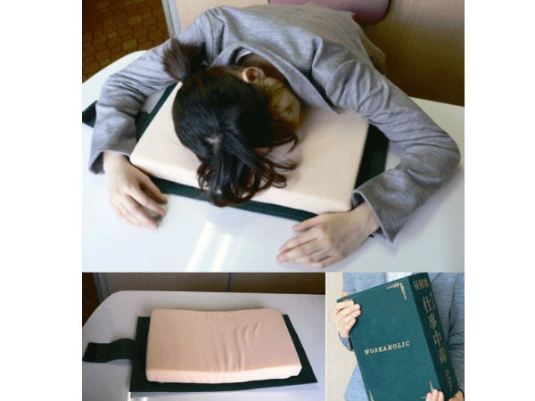 Dictionary Desk Pillow