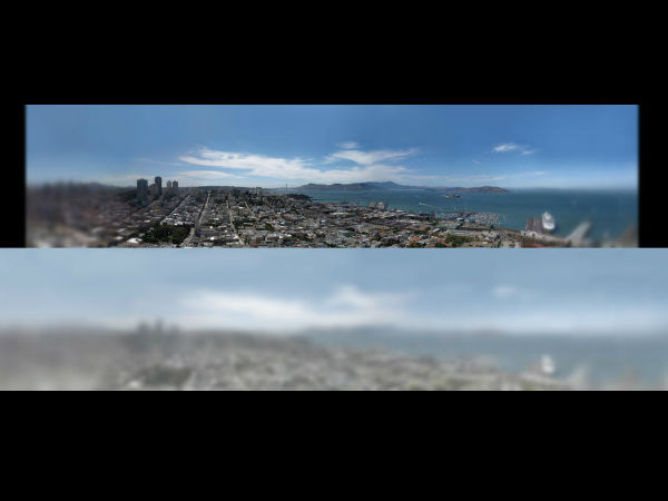 How Cats See the World  