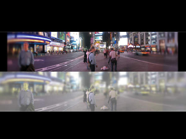 How Cats See the World 