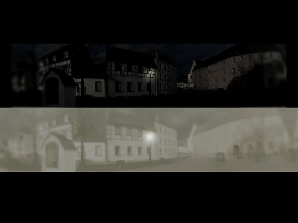 How Cats See the World  