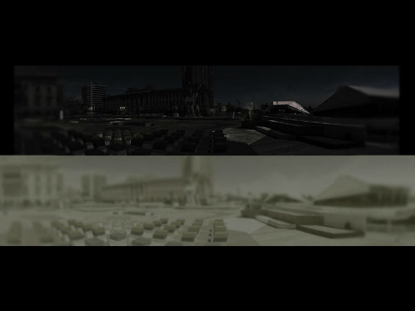 How Cats See the World  