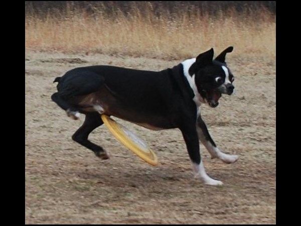 Trending facebook photos