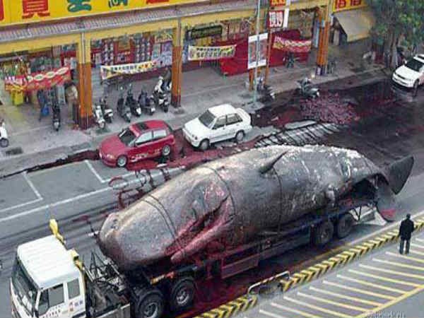 Trending facebook photos 