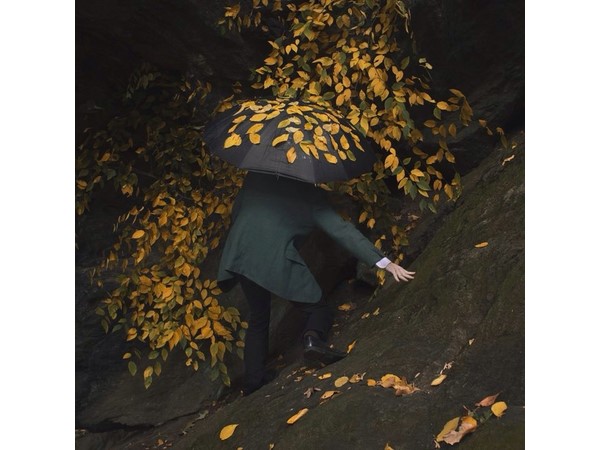 Ben Zank Photography