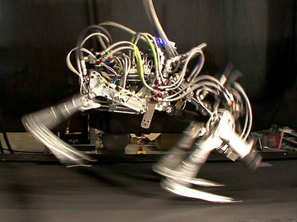 Cheetah Robot Cheetah Robot