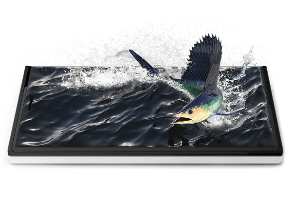 sailfish