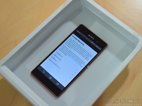 Remote Play Function 