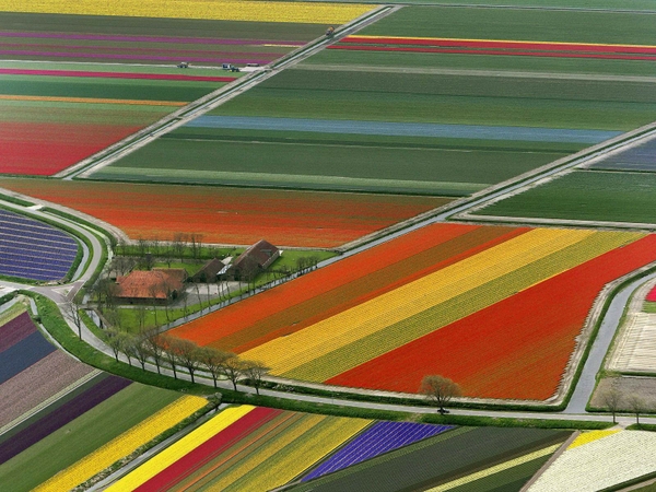 11) Netherlands 11) Netherlands
