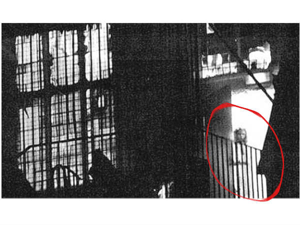 कैसे तस्वीरों में कैद हो गए भूत!