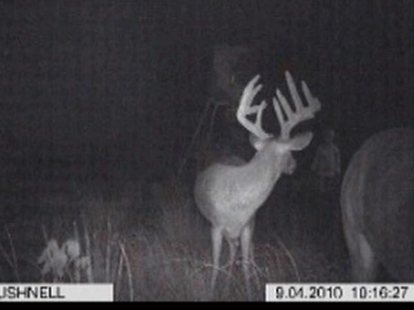 भूत-प्रेत की तस्वीरों का यह है टेक्निकल सच..!!