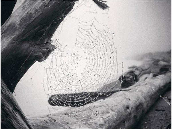 iphone की इन तस्वीरों को देख उड़ जाएंगे होश..!