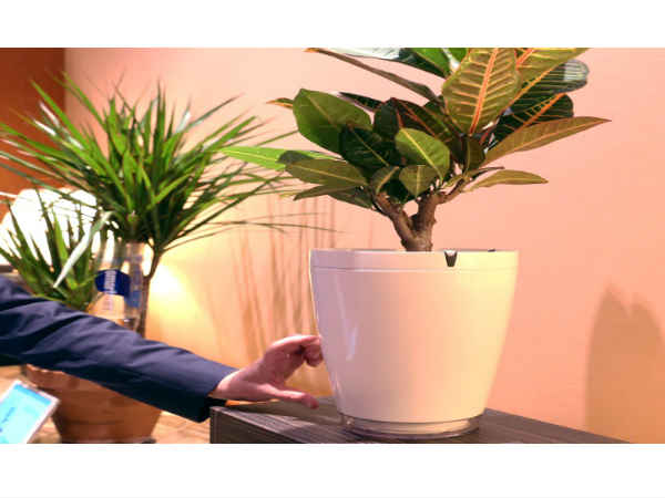 2. ब्लूटूथ फ्लावर पॉट