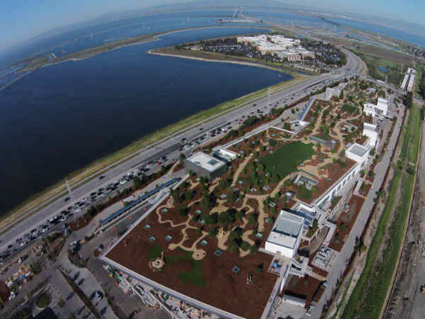 फेसबुक कोड वर्ड्स-7