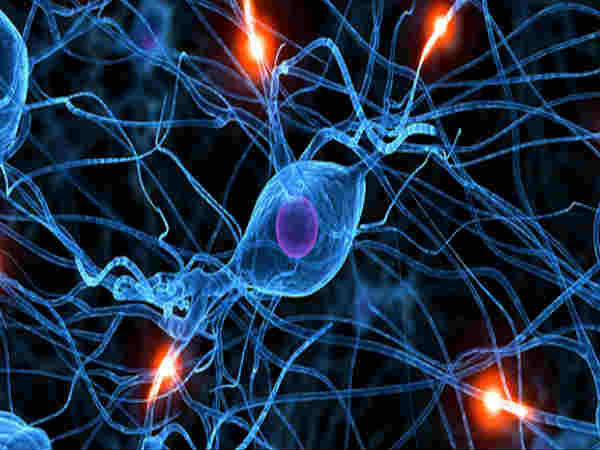 मिथक नम्‍बर - 6: 