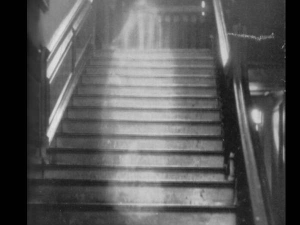 ब्राउन लेडी 