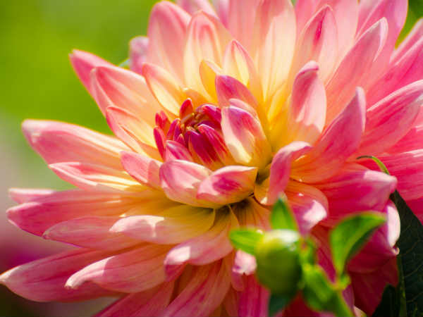 कैमरे की समझ