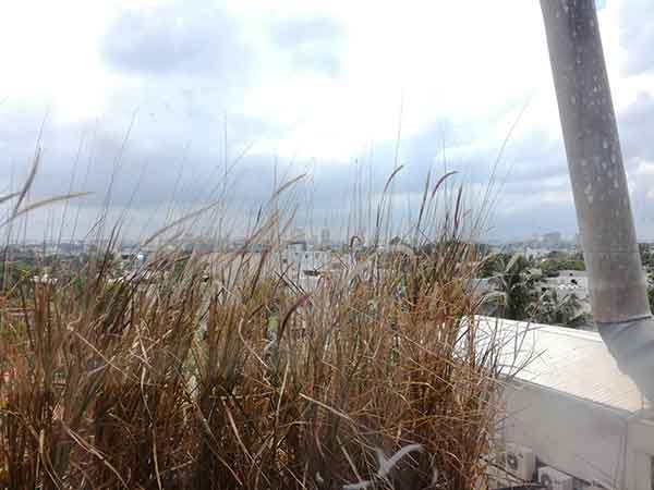 कैमरा सैंपल 6