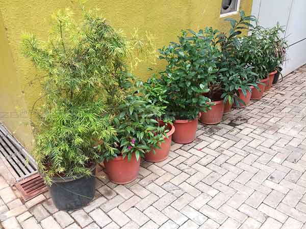 कैमरा सैंपल 7