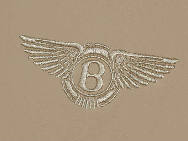 53 बिलियन पिक्सल