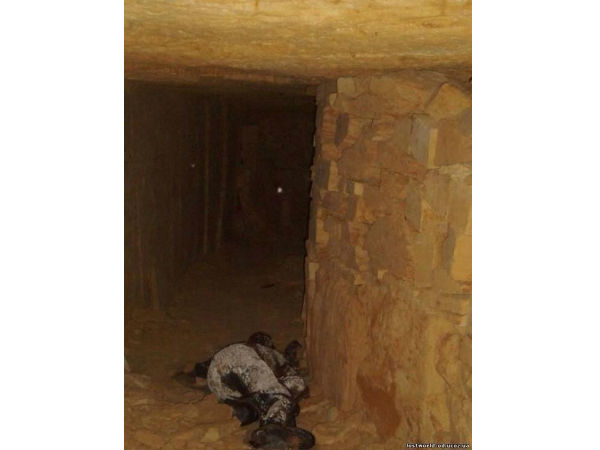 यूक्रेन