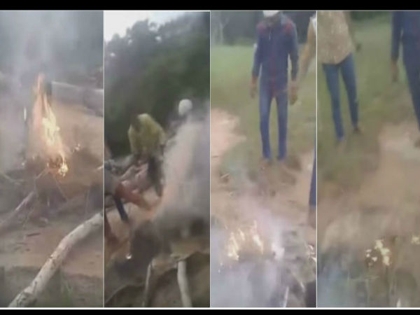 अरेस्ट कर लिया गया है लड़कों को