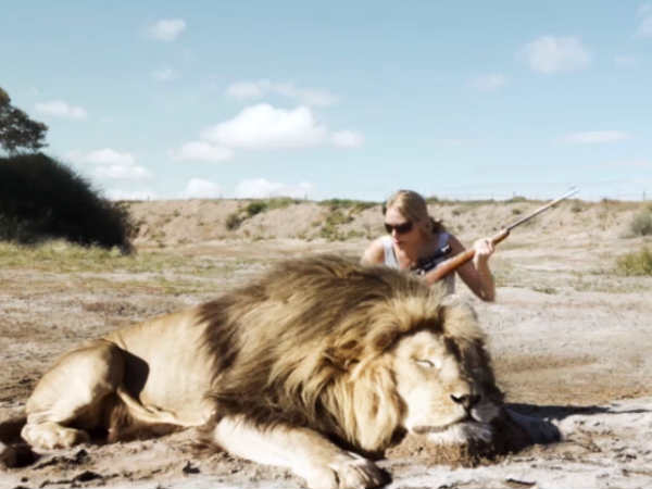 पिछले दो सालों से ये कंपनी आपको बना रही है 'उल्‍लू'