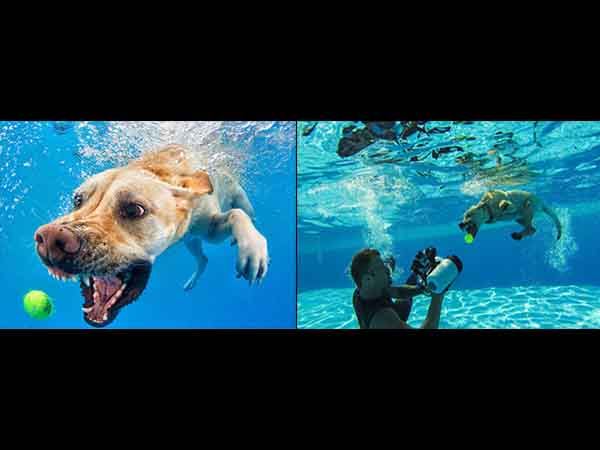 टाइमिंग 