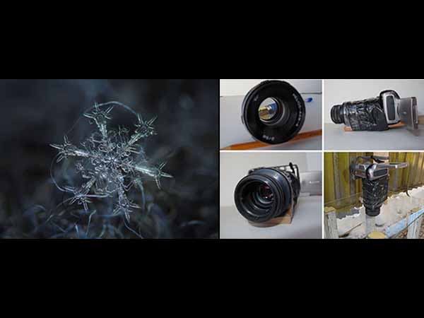 मैक्रो फोटोग्राफी