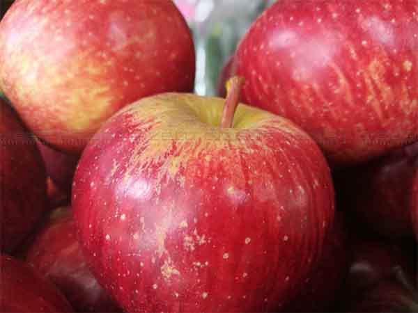 रंगों का मेल 