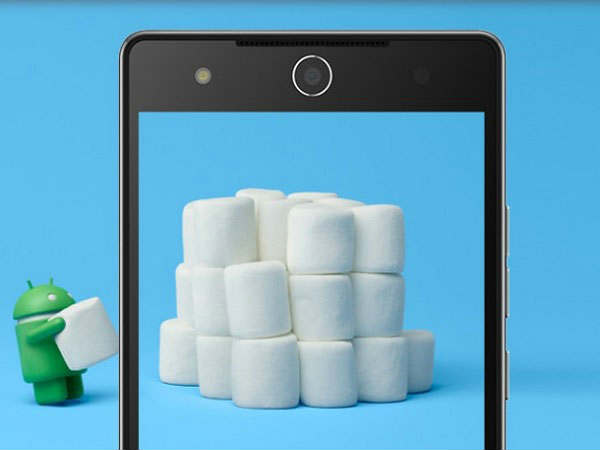 मार्शमेलो