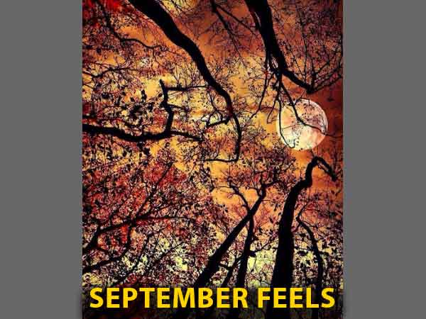 इंस्‍टाग्राम फीड के लिए कैसे लें बेस्ट फोटो