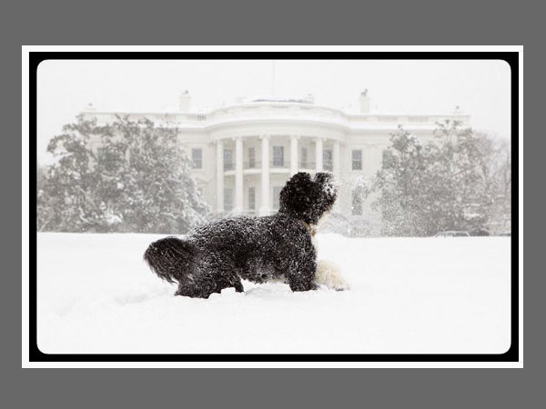 इंस्‍टाग्राम फीड के लिए कैसे लें बेस्ट फोटो