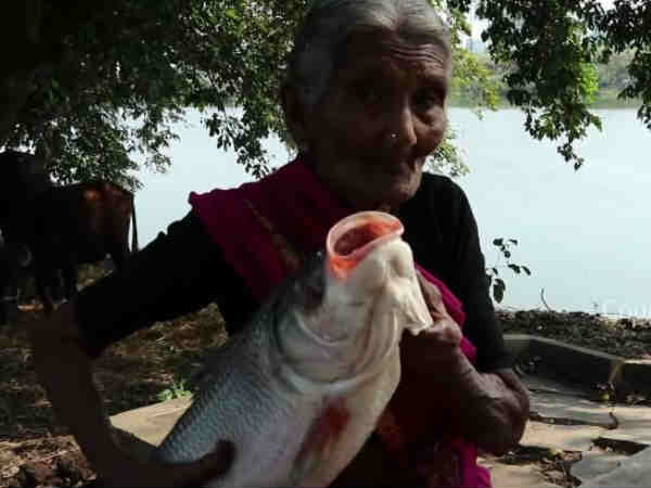 106 साल की हैं 'मस्तनम्मा' 106 साल की हैं 'मस्तनम्मा'