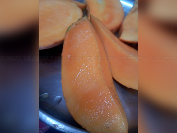 कैमरा क्वालिटी कैमरा क्वालिटी