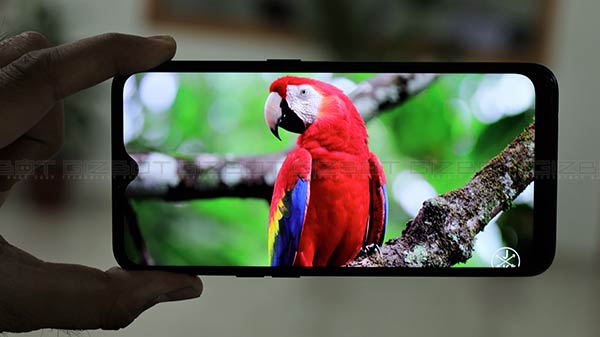 6.2 इंच का एचडी + वाटरड्रॉप डिस्प्ले