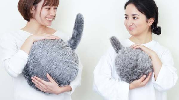 3) Petit Qoobo: बिना सिर वाली बिल्ली