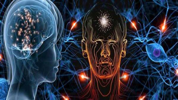 Specific Brain Cells की गतिविधि