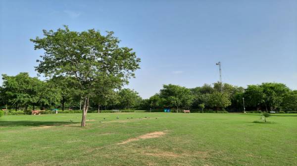 5. स्किन टोन के लिए वाइबरेंस से कलर बूस्ट करना