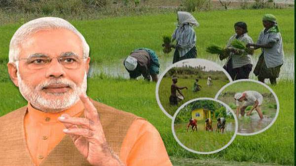 प्रधानमंत्री सम्मान निधि योजना की ऑनलाइन शिकायत कैसे करें