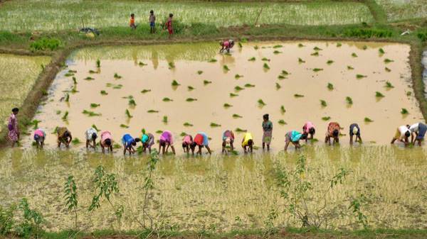 किन किसानों को मिलेगा इस सरकारी स्किम का फायदा