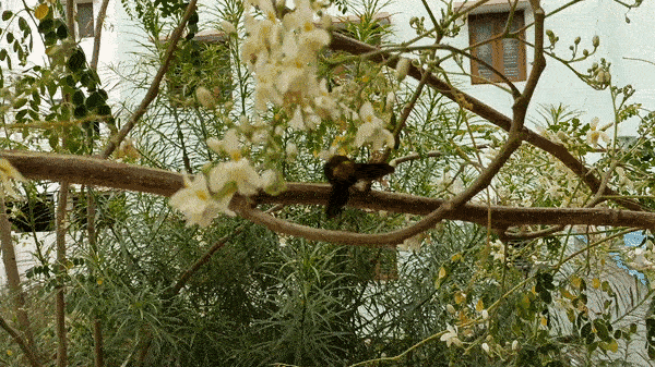 OPPO Reno7 5G फर्स्ट इम्प्रेशन: बेहतरीन कीमत के साथ मिलते हैं धाँसू फीचर्स