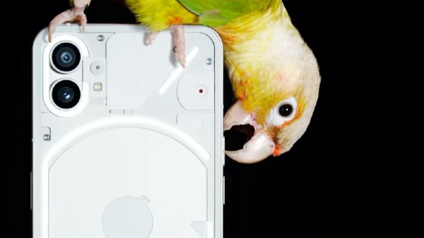 Nothing Phone 1 : कैमरा सेटअप