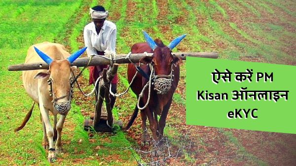 PM Kisan Yojana 12वीं किस्त: इस तारीख से पहले कैसे करें पीएम किसान योजना के लिए eKYC? PM Kisan Yojana 12वीं किस्त: इस तारीख से पहले कैसे करें पीएम किसान योजना के लिए eKYC?