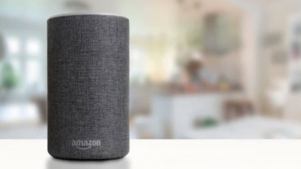 स्मार्ट स्पीकर/एलेक्सा ( Smart Speaker / Alexa ) स्मार्ट स्पीकर/एलेक्सा ( Smart Speaker / Alexa )