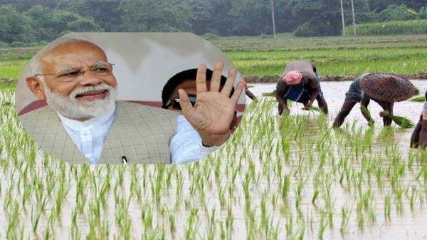 किसानों के लिए खुशखबरी! इस तारीख तक मिल सकती है 12वीं किस्त किसानों के लिए खुशखबरी! इस तारीख तक मिल सकती है 12वीं किस्त