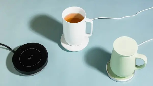 Temperature Control Smart Mug