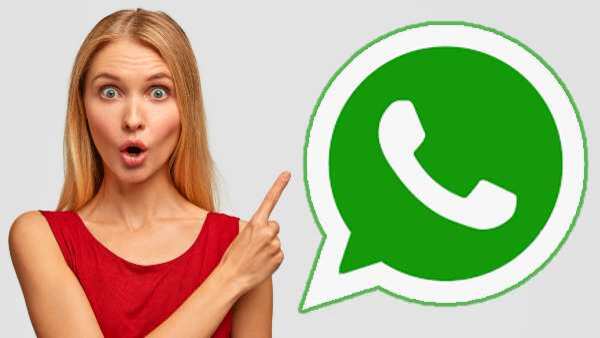 अब WhatsApp पर करें ChatGPT से बात!