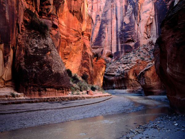 iPad Mini Wallpaper 6