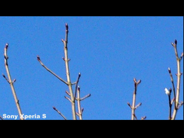 Camera Comparison Shots 